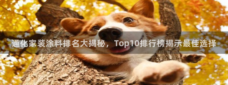 深圳和记科技有限公司：通化家装涂料排名大揭秘，Top10排行
