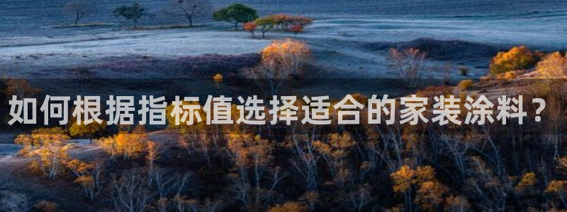 和记平台官方网：如何根据指标值选择适合的家装涂料？