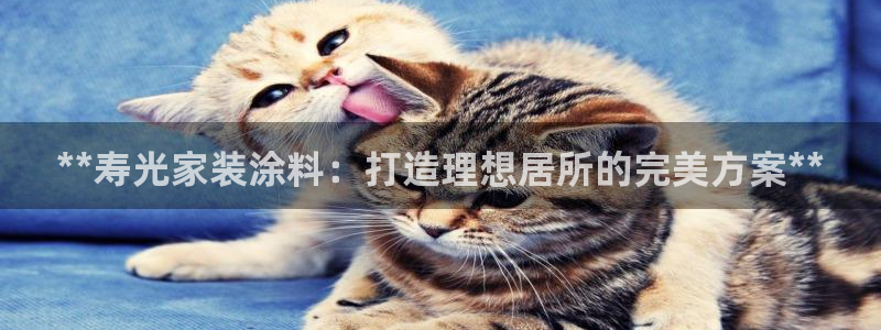 和记国际：**寿光家装涂料：打造理想居所的完美方案**